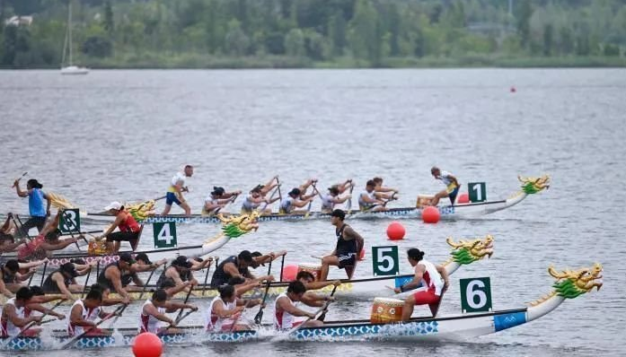 中国传统龙, net