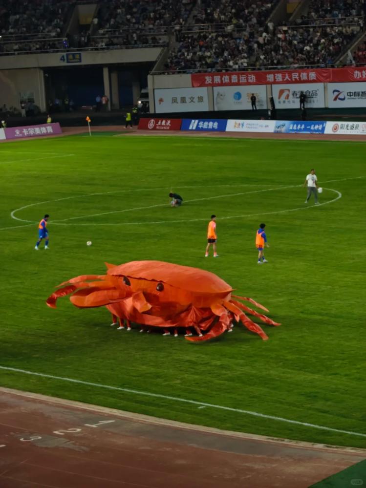 猴儿一个栓, img, 更适合山东