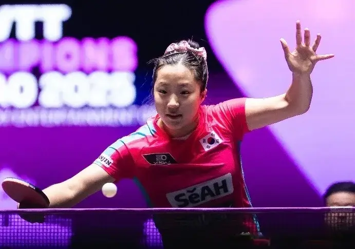 单剩张本智, 陈垣宇 单剩张本智, 陈垣宇